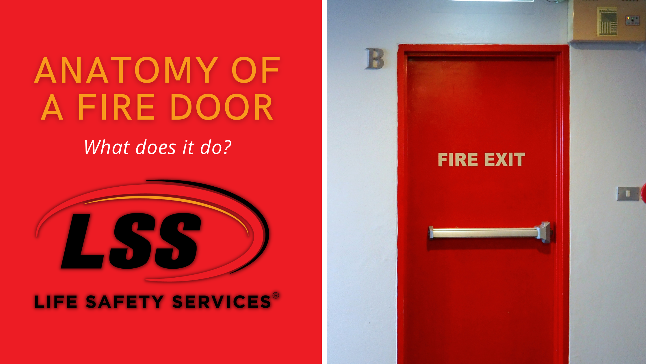 What are the Parts of a Fire Door & Why Does It Matter?